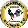 criatorioolimpoedoficial