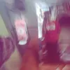 vocuaainema