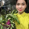 Vườn Lan An Di