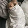 piggg0701
