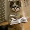 tao.la.minh.beo