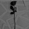 _sarafina.j