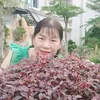 thu.van49
