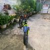 owner_hitam_black