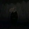 noval_11112