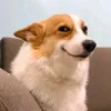 mochi_khoaimon