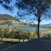 gabriel_99111