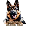 operacao_alpha_cao