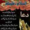 shahzad.warrich6