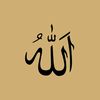 saattt56