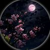 ansari.123a