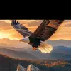 shaheedkhan322ssd804