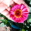 nh.linh602