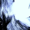 inessat_10y.l