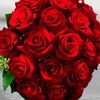 salwa.yusef