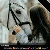 user2730102218263