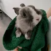 jumperlelapin