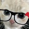 antonia_guajardo4.7