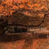 cozyautumn8