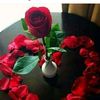 user7271210613683