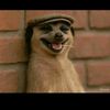 mr.aii24