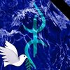 mohamed.mira41