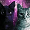 millow__awoooo
