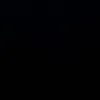 biely_46