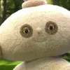 judefoywessi1