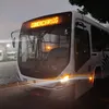 luiz.ramos60