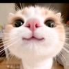 nathaly8026
