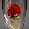 user2492037143275