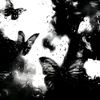 syizell._