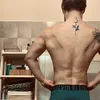 albert.ndoci8