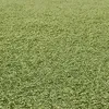 la_rule_34_4.0