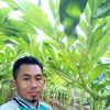 supraptosarwoslam