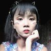 zin.lay7781