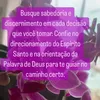 rosa.araujo005