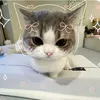 talkin_angele