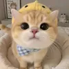 emyeuanh_2311