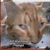 seweneng
