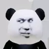 kungfupandavietnam