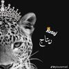 .retaj.elsayed