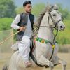sunny.malik83