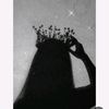 nourx6654