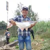 Bán hàn tụ do