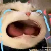 l.chu943