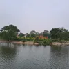 bui.quang658
