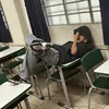 vidracavi1