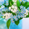blueflower920